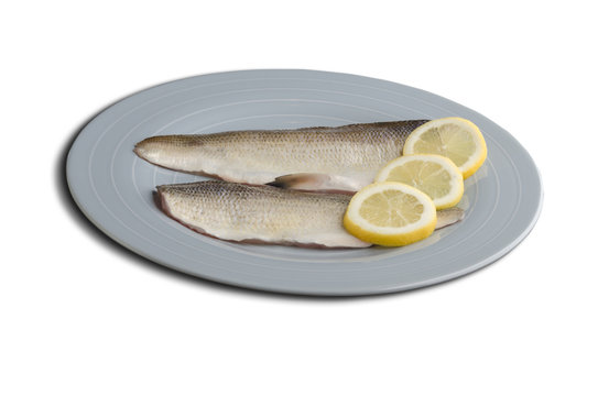 Felchen Bodenseefelchen Blaufelchen Coregonus wartmanni Speisefisch S&uuml;sswasserfisch