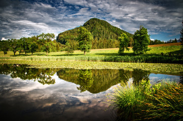Mossbauernteich