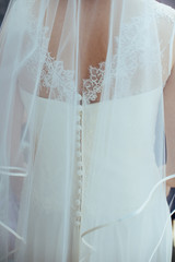 bride with veil seen from behind, white dress with buttons