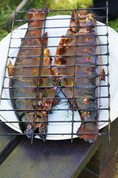 Hot smoked fish under the grill on a white plate on dark boards