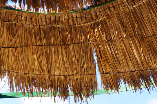 part of the umbrella roof from dry palm leaves and a peeled green metal rim