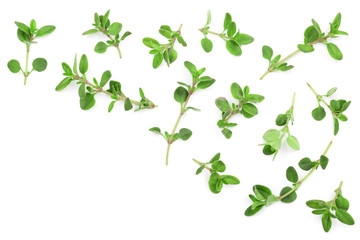Fototapeta premium Fresh thyme spice isolated on white background with copy space for your text. Top view. Flat lay pattern