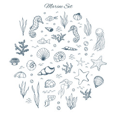 Hand drawn vector marine set with seahorses, shells, stars, seaweed, fish, coral and bubbles. Sea creatures outline on the white background.