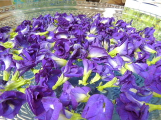 バタフライピー