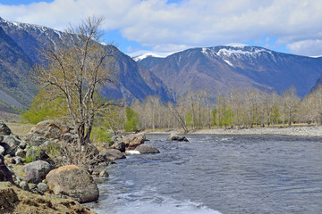 Landscape with a mountain river in Gorny Altai, Russia