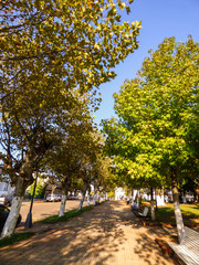 Obraz premium Paso de los libres, Argentina - Circa April 2018: Plaza Independencia (Independence Square) in Autumn