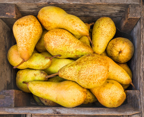 Pears harvest.  Healthy Organic Pears in the Wooden Box.  Autumn nature concept. Top view.