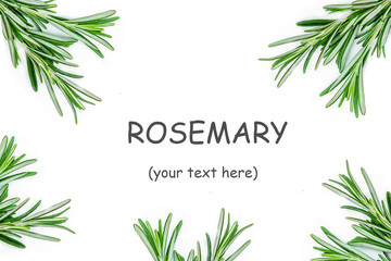 Isolated Rosemary. Creative food background with rosemary herb. Flat lay.  Fresh food concept.
