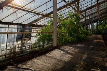 GreenHouse