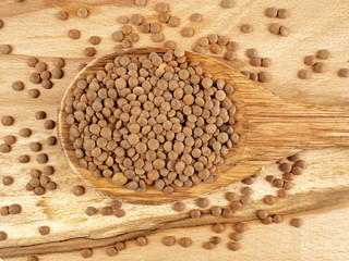 Lentils in wooden spoon