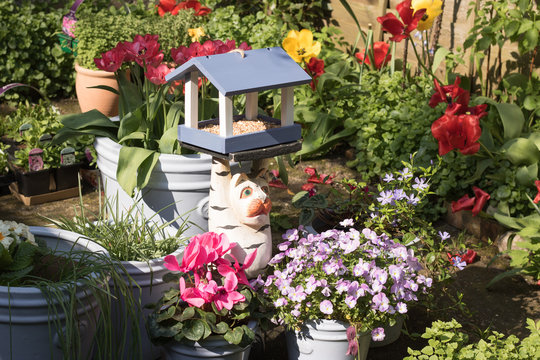 Colorful garden set is in sunny day: blossom flowers in pots, small plants from garden center and a bird feeder on a stand. Concept: gardening.