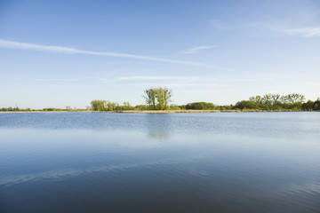 Quiet lake and shore with trees