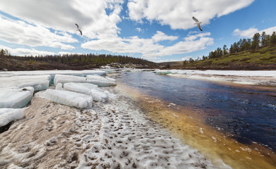 Ice drift on a small stream