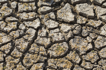 Details of a dried and cracked earth
