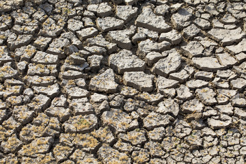 Details of a dried and cracked earth