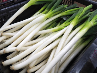 白ネギ