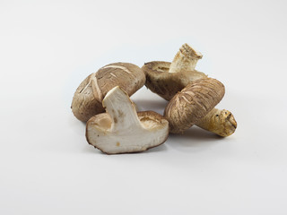 Fresh Shiitake mushroom on the White background.