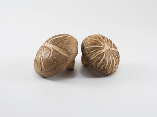 Fresh Shiitake mushroom on the White background.