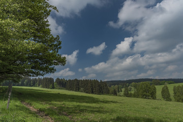 Naklejka premium Meadows and pasture land near As town