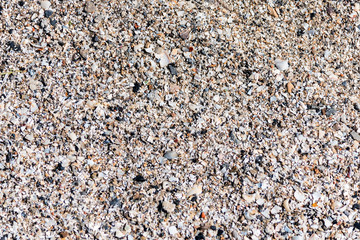 Background of sand and pieces of shells on beach