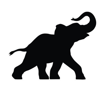 silhouette of a small elephant