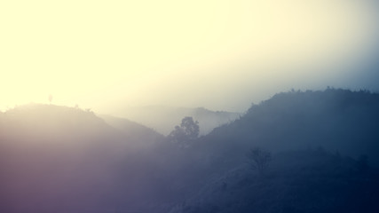 Fototapeta premium Landscape of forest mountains among mist
