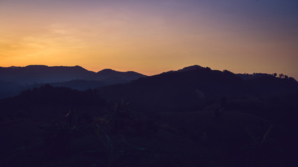 Landscape of forest mountains on sunset