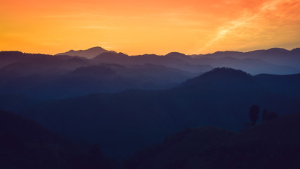 Landscape of forest mountains on sunset