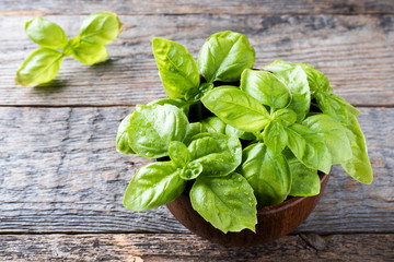 Fresh Basil in a bowl of wood on a rustic table