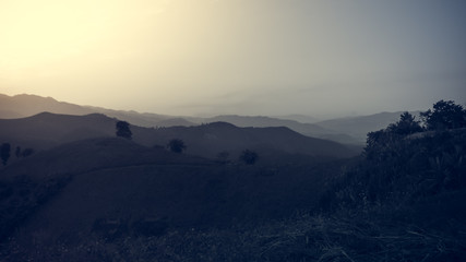 Landscape of forest mountains on sunset