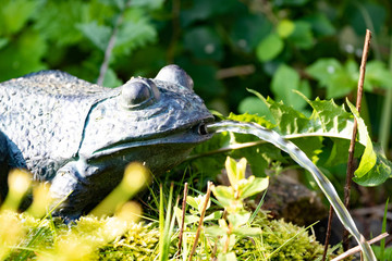 Small water spitting frog as decoration at the side of a litte pond in spring