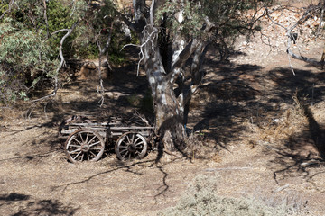 Quorn South Australia, derelict wooden wagon under old gum tree