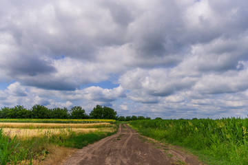 Road through fields in countryside