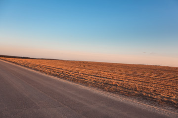 Fototapeta na wymiar Road near a field at sunset in a clear gradient sky