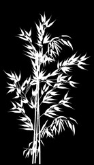 bamboo white branches bunch isolated on black