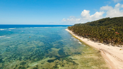Fototapeta na wymiar Beautiful tropical sand beach, palm trees. Aerial view of tropical beach on the island Siargao, Philippines. Tropical landscape: beach with palm trees. Seascape: Ocean, sky, sea . Philippines. Travel