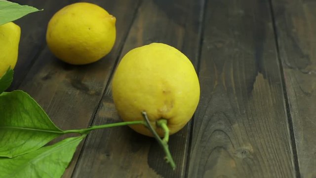 Agrumi gialli e foglie verdi    