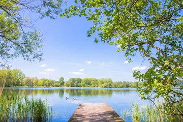 Foto op Plexiglas meer in bos, water, vissersbrug, bomen, zegge en eenden © Vitalinka