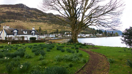Fototapeta na wymiar View over the water of Loch Goil to the village of Lochgoilhead.