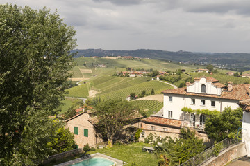 Fototapeta na wymiar italian hills and vineyard