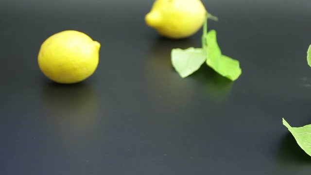 Limone giallo foglie verdi 