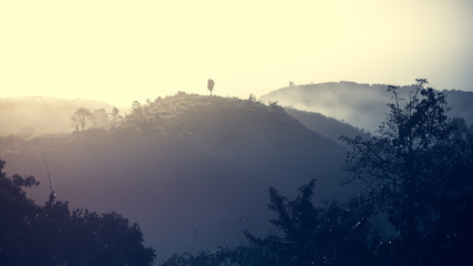 Fototapeta na wymiar Landscape of forest mountains among mist