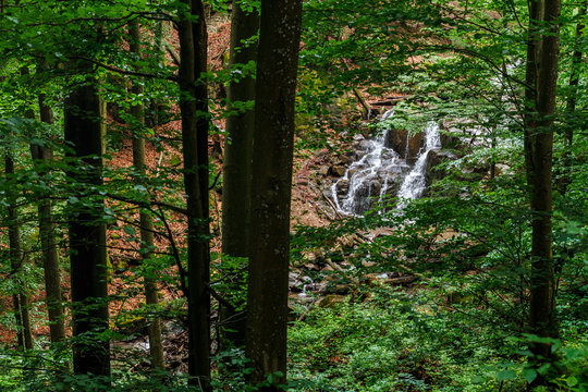 Fototapeta Waterfall Skakalo in the Carpathian mountains