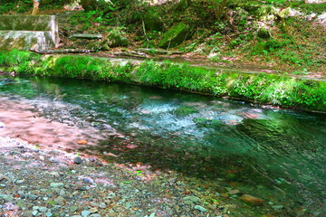 Oike Yusui2