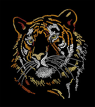 Muzzle of a tiger