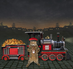 The train is loaded with feed for pet. The cat railman stands next to it.