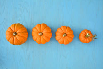 Orange pumpkins on blue background