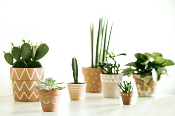 Modern composition of home garden filled a lot of plants in different hipster pots. Room of nature lover.