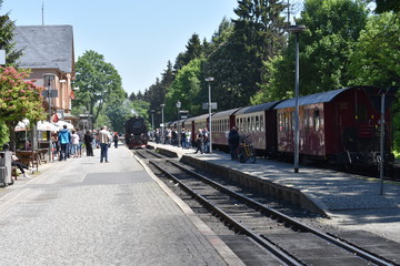 Fototapeta na wymiar Schmalspurbahn