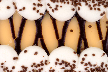 Close up of delicious cream cake with chocolate